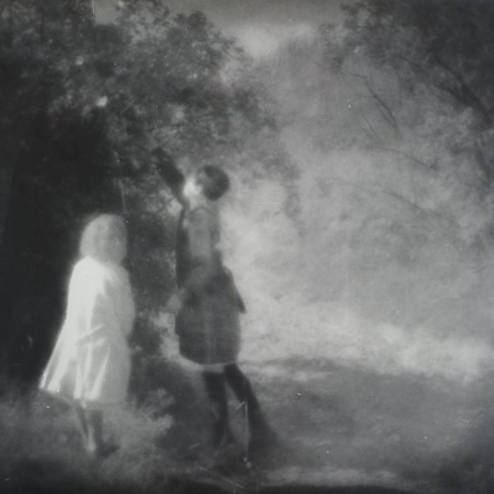 Dzikie różyczki (Polne róże), Wański Tadeusz (fotografik)