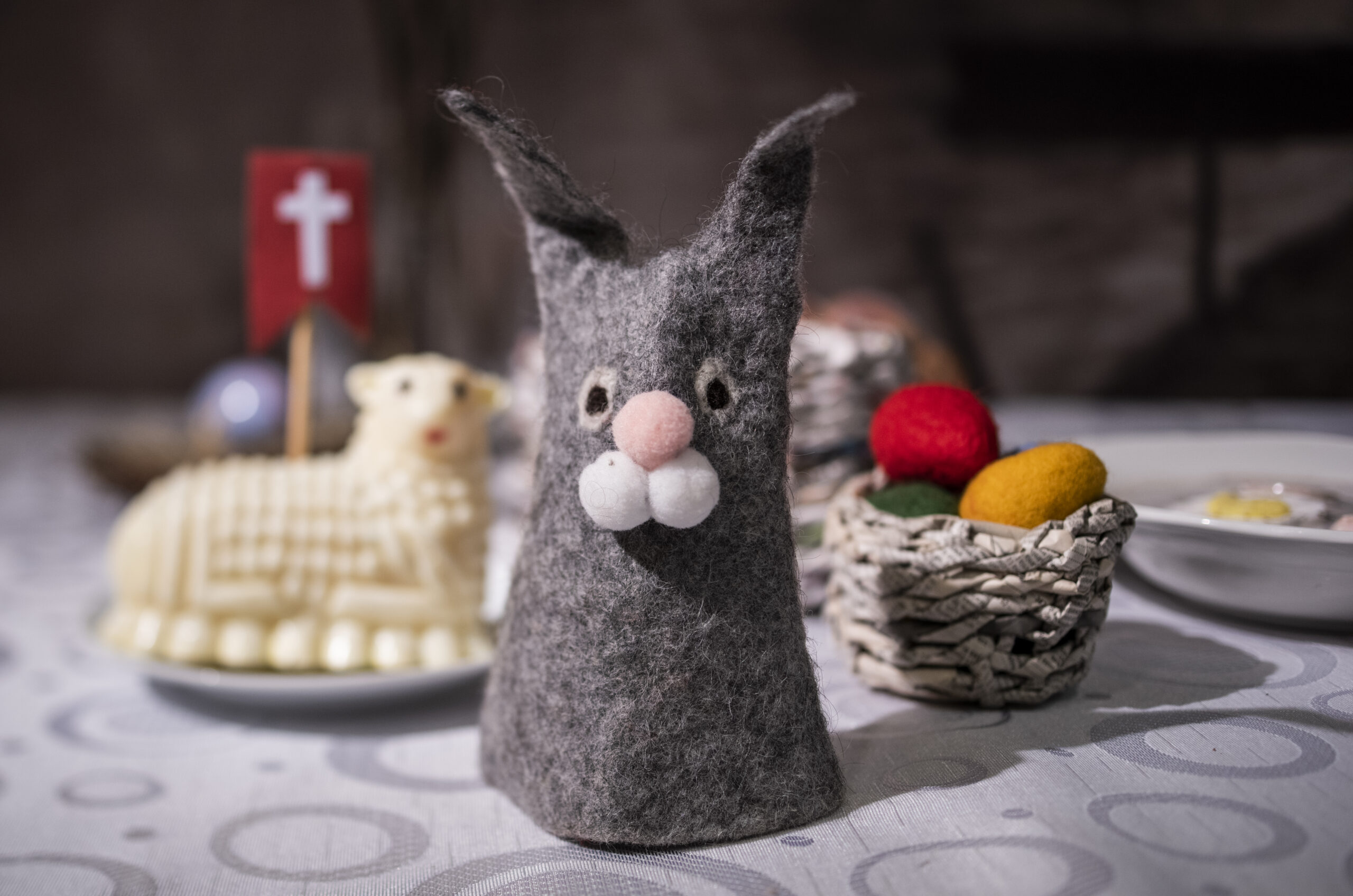 Zając na skalę naszych możliwości