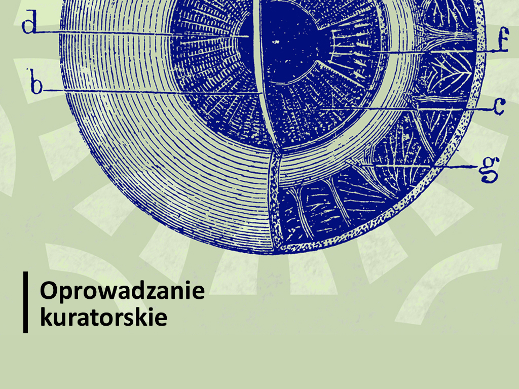 Oprowadzanie kuratorskie po wystawie „Tajemnice wzroku”