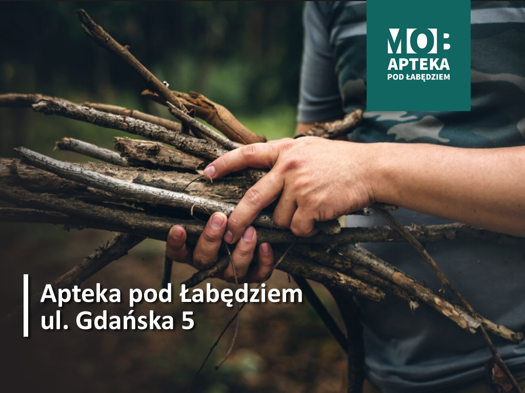 O roślinach i poruszaniu się w terenie