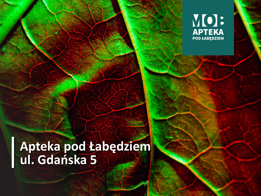 Ukryte tajemnice roślin i ich herboryzacja