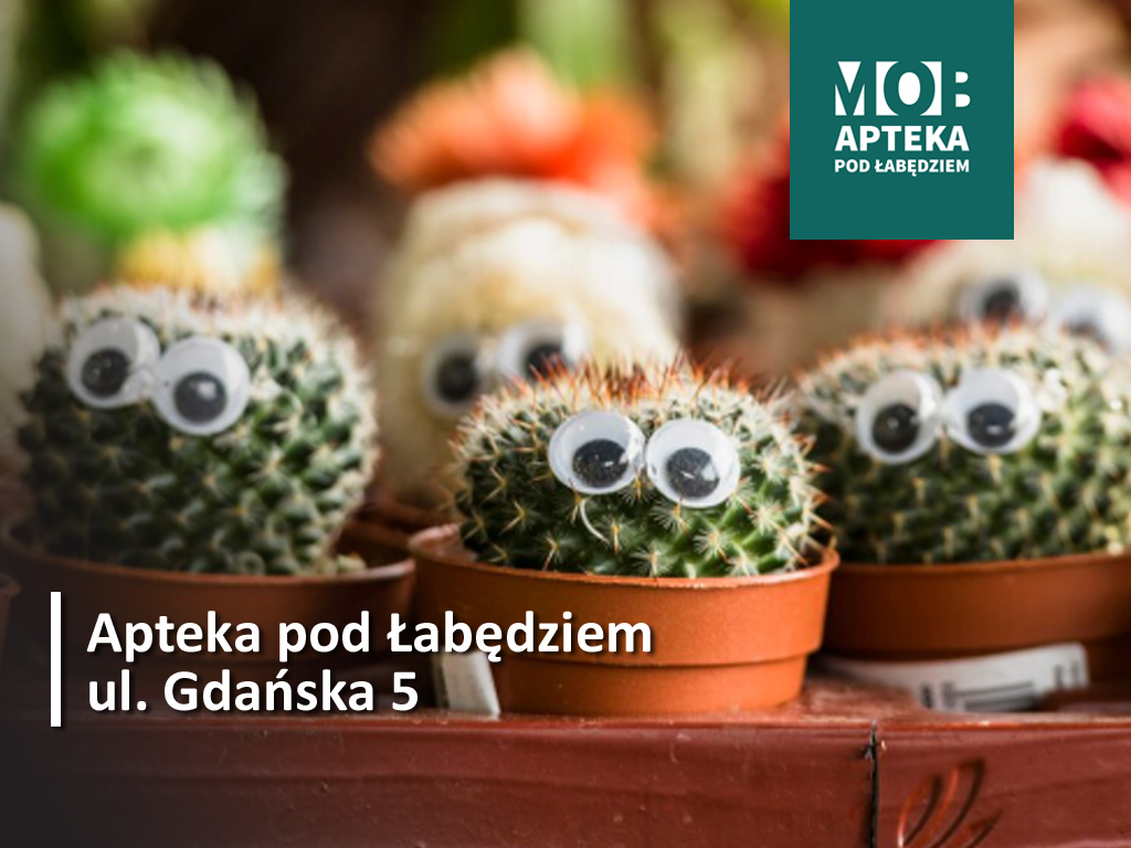 Makro i mikro świat roślin