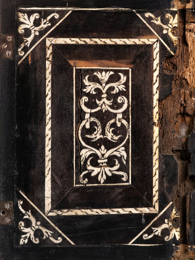 Gabinet osobliwości. Geniusz niepowtarzalności i podobieństwa