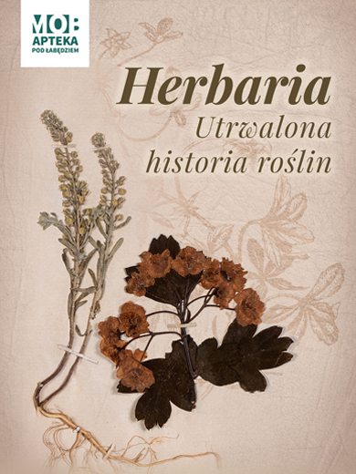 Herbaria. Utrwalona historia roślin