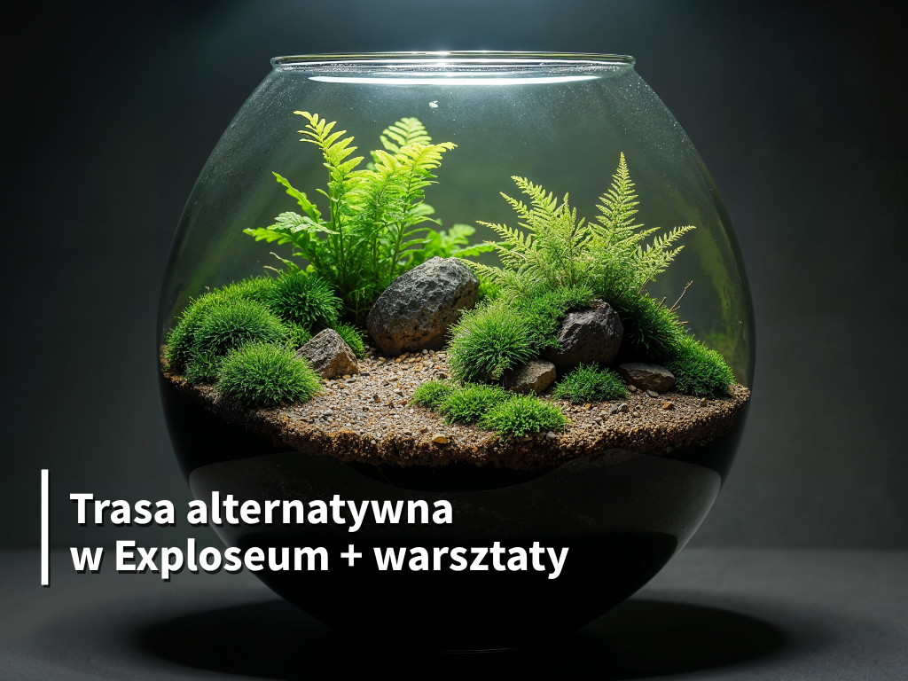 Trasa alternatywna „Las w słoiku”