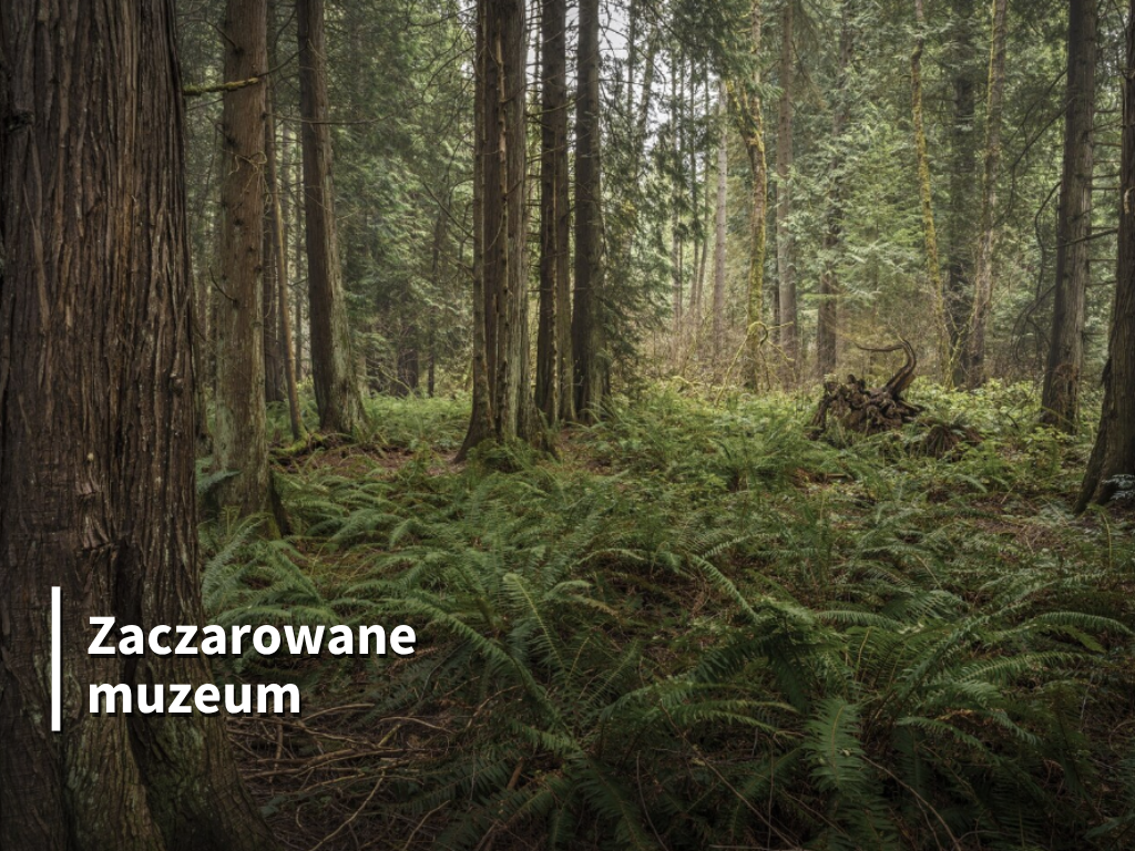 „Zaczarowane muzeum”. „Bydgoski ogródek” – warsztaty plastyczne