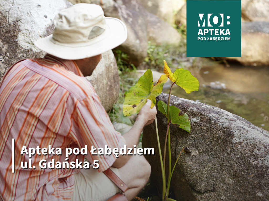 „Mikrokosmos ogrodu deszczowego” – jak woda daje życie